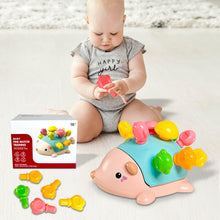 Load image into Gallery viewer, koolbitz Colorful Hedgehog Learning Toy Early Development Sensory Playset Montessori Toys Fine Motor Skills Educational Play for Toddlers and Babies
