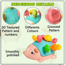 Load image into Gallery viewer, koolbitz Colorful Hedgehog Learning Toy Early Development Sensory Playset Montessori Toys Fine Motor Skills Educational Play for Toddlers and Babies
